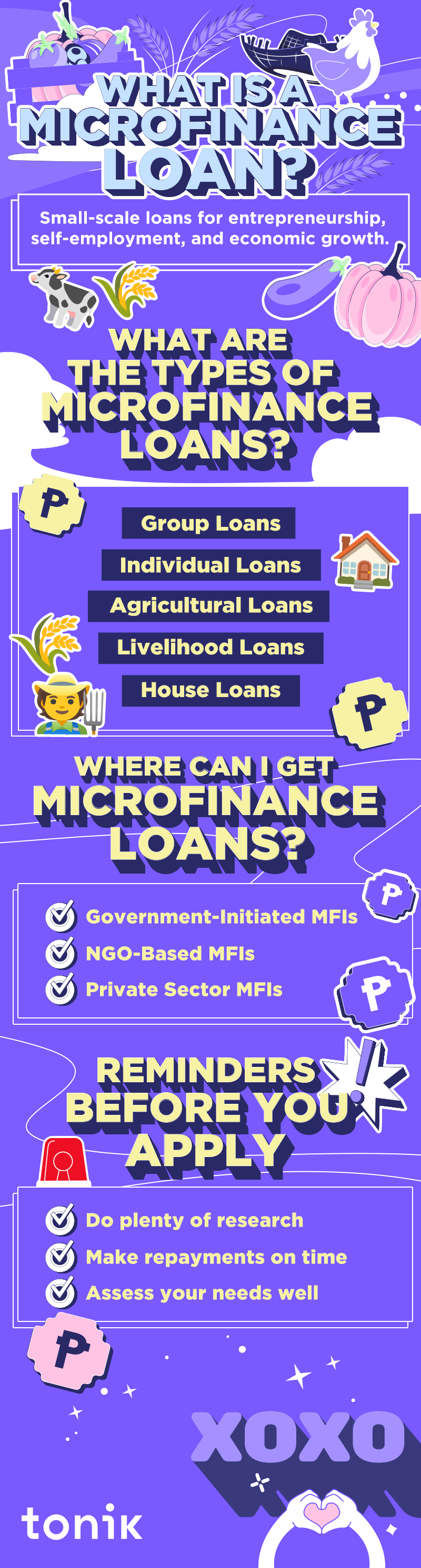 infographic on microfinance loans